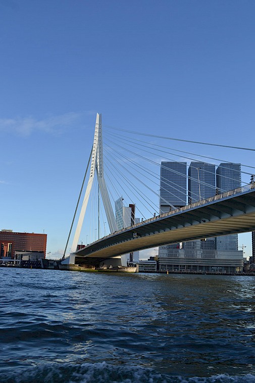 Rotterdam: Brug